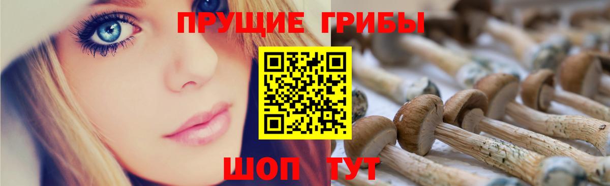Галлюциногенные грибы Psilocybe  Вход с VPN  Елизово  Галлюциногенные грибы GOLDEN TEACHER 